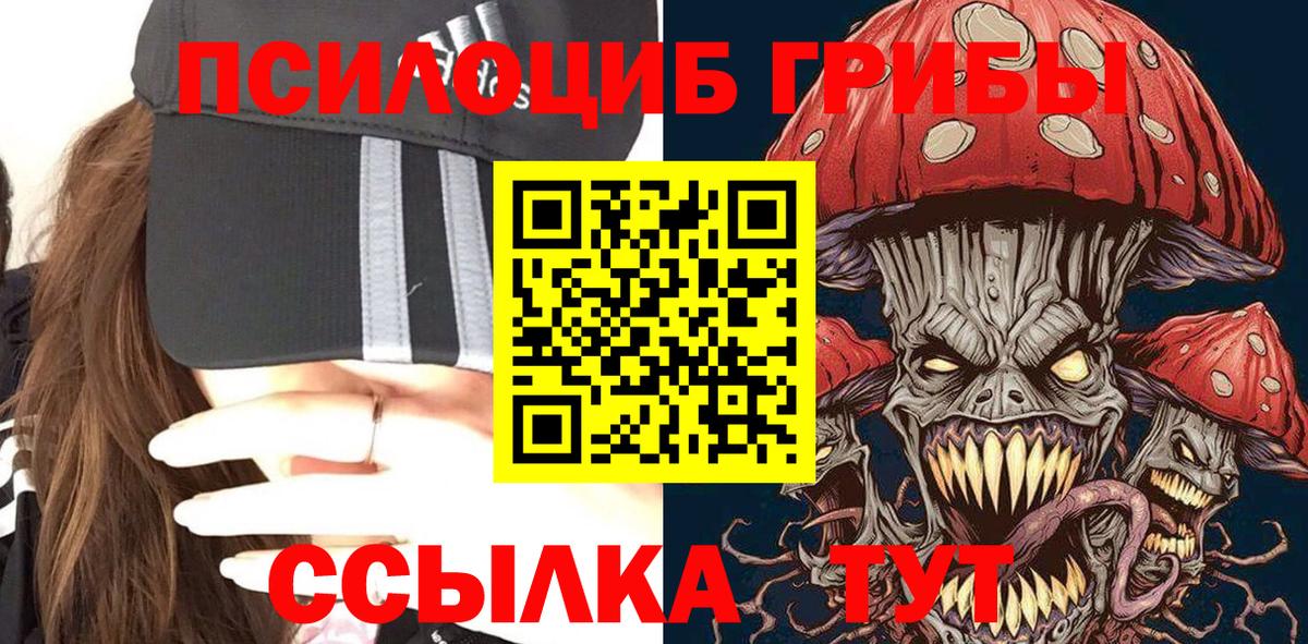 Псилоцибиновые грибы прущие грибы  наркотики  Усть-Илимск  Вход с VPN 