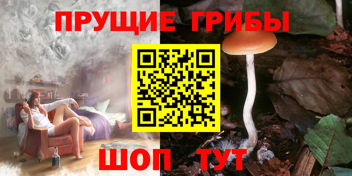 Галлюциногенные грибы MAGIC MUSHROOMS Усть-Илимск